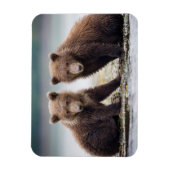 Niedliche Kleintiere | Zwei Bärenkuppen Magnet (Vertikal)