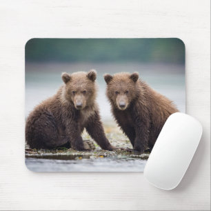 Niedliche Kleintiere Zwei Bärenkuppen Mousepad