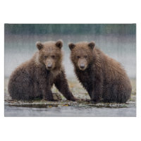 Niedliche Kleintiere | Zwei Bärenkuppen