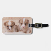 Niedliche Kleintiere | Zwei Corgi Welpen Gepäckanhänger (Vorderseite horizontal)