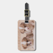 Niedliche Kleintiere | Zwei Corgi Welpen Gepäckanhänger (Vorderseite vertikal)