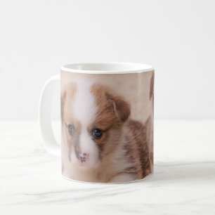 Niedliche Kleintiere Zwei Corgi Welpen Kaffeetasse