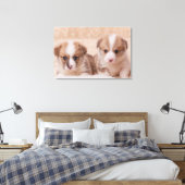 Niedliche Kleintiere | Zwei Corgi Welpen Leinwanddruck (Insitu (Schlafzimmer))
