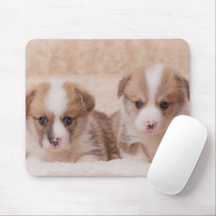 Niedliche Kleintiere   Zwei Corgi Welpen Mousepad