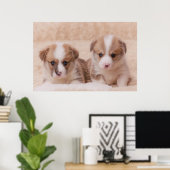 Niedliche Kleintiere | Zwei Corgi Welpen Poster (Heimbüro)