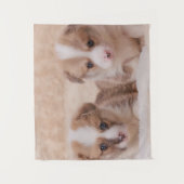 Niedliche Kleintiere | Zwei Corgi Welpen Wandteppich (Vorderseite)