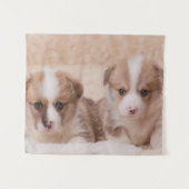 Niedliche Kleintiere | Zwei Corgi Welpen Wandteppich (Vorderseite (Horizontal))