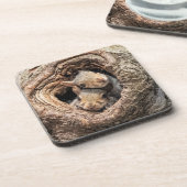 Niedliche Kleintiere | Zwei junge Eichhörnchen Getränkeuntersetzer (Linke Seite)