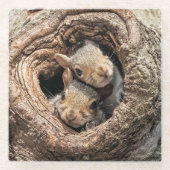 Niedliche Kleintiere | Zwei junge Eichhörnchen Glasuntersetzer (Vorderseite)