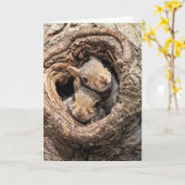 Niedliche Kleintiere | Zwei junge Eichhörnchen Karte (Gelbe Blume)