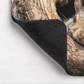 Niedliche Kleintiere | Zwei junge Eichhörnchen Mousepad (Ecke)
