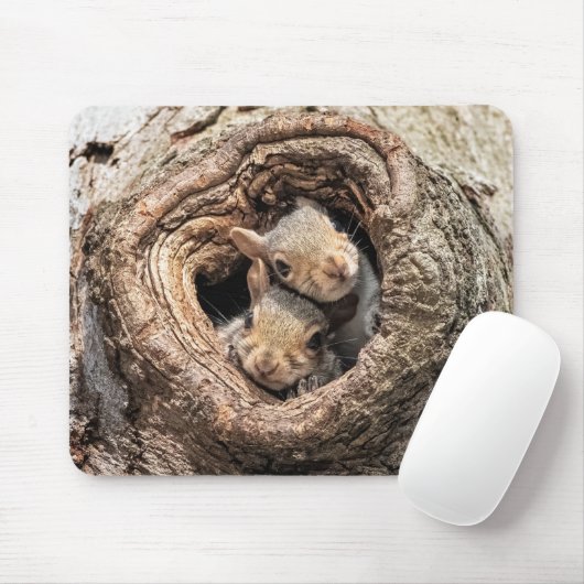 Niedliche Kleintiere | Zwei junge Eichhörnchen Mousepad (Mit Mouse)