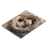 Niedliche Kleintiere | Zwei junge Eichhörnchen Notizblock (Linke Seite)