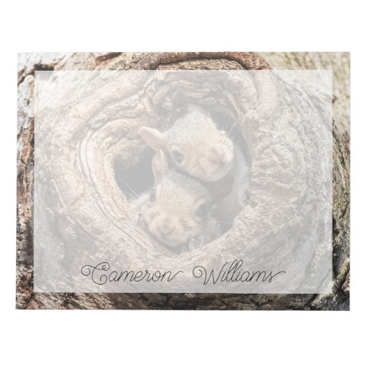 Niedliche Kleintiere | Zwei junge Eichhörnchen Notizblock (Vorderseite)