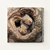 Niedliche Kleintiere | Zwei junge Eichhörnchen Notizblock (Rückseite)