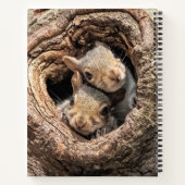 Niedliche Kleintiere | Zwei junge Eichhörnchen Notizblock (Rückseite)