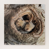 Niedliche Kleintiere | Zwei junge Eichhörnchen Puzzle (Horizontal)