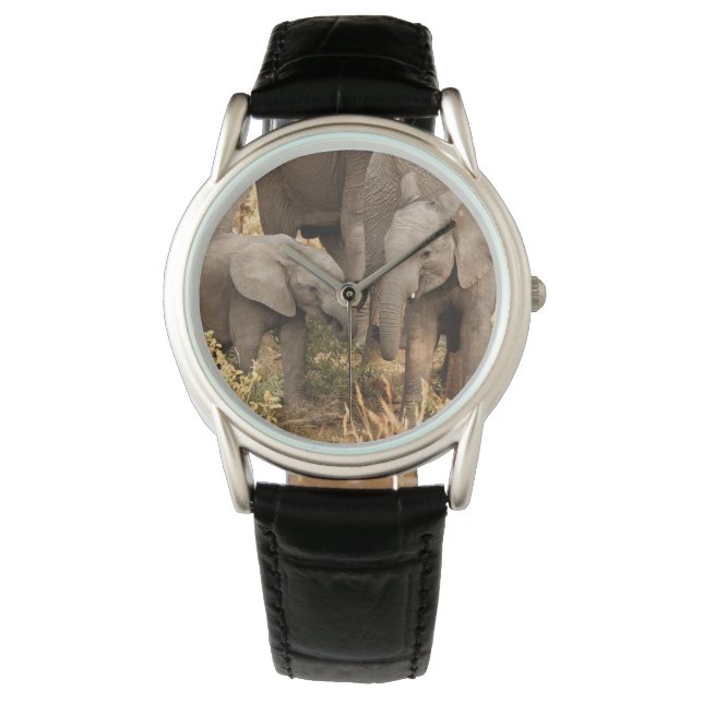 Niedliche Kleintiere | Zwei junge Elefanten Armbanduhr (Vorderseite)