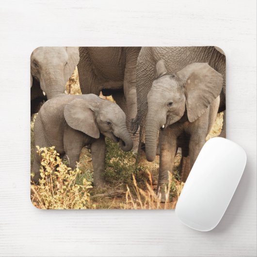 Niedliche Kleintiere | Zwei junge Elefanten Mousepad (Mit Mouse)