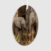 Niedliche Kleintiere | Zwei junge Elefanten Ornament (Vorderseite)