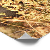 Niedliche Kleintiere | Zwei junge Elefanten Poster (Ecke)