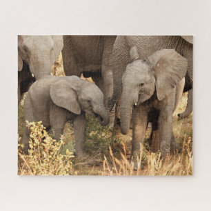 Niedliche Kleintiere Zwei junge Elefanten Puzzle