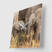 Niedliche Kleintiere | Zwei junge Elefanten Quadratische Wanduhr (Winkel)