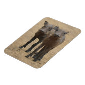 Niedliche Kleintiere | Zwei junge Kriegshunde Magnet (Linke Seite)