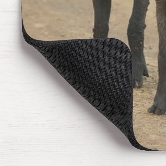 Niedliche Kleintiere | Zwei junge Kriegshunde Mousepad (Ecke)