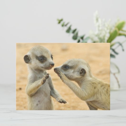 Niedliche Kleintiere | Zwei junge Meerkats Dankeskarte (Stehend Vorderseite)