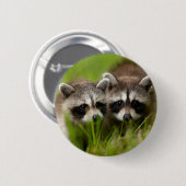 Niedliche Kleintiere | Zwei junge Raccos Button (Vorne & Hinten)