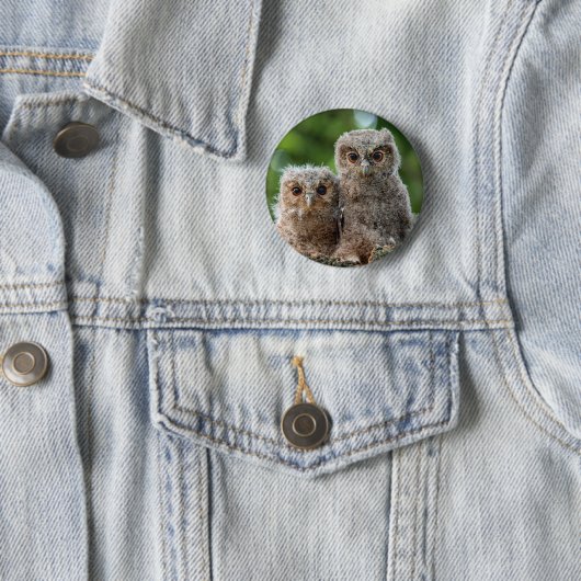 Niedliche Kleintiere | Zwei junge Schafe Button (Beispiel)
