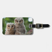 Niedliche Kleintiere | Zwei junge Schafe Gepäckanhänger (Vorderseite horizontal)