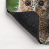 Niedliche Kleintiere | Zwei junge Schafe Mousepad (Ecke)