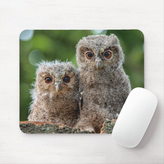 Niedliche Kleintiere | Zwei junge Schafe Mousepad (Mit Mouse)