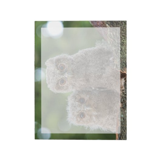 Niedliche Kleintiere | Zwei junge Schafe Notizblock (Rotiert)