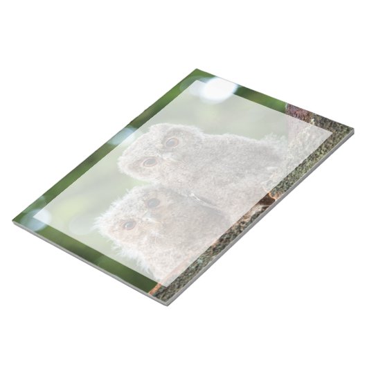 Niedliche Kleintiere | Zwei junge Schafe Notizblock (angewinkelt)