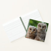 Niedliche Kleintiere | Zwei junge Schafe Notizblock (Innenseite)
