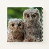 Niedliche Kleintiere | Zwei junge Schafe Notizblock (Rückseite)