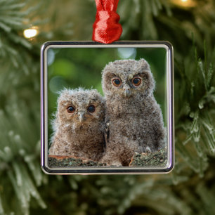 Niedliche Kleintiere Zwei junge Schafe Ornament Aus Metall