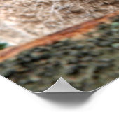 Niedliche Kleintiere | Zwei junge Schafe Poster (Ecke)