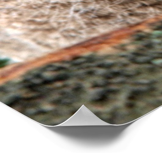 Niedliche Kleintiere | Zwei junge Schafe Poster (Ecke)