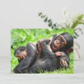 Niedliche Kleintiere | Zwei junge Schimpansen Dankeskarte (Stehend Vorderseite)