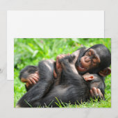 Niedliche Kleintiere | Zwei junge Schimpansen Dankeskarte (Vorne/Hinten)