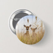 Niedliche Kleintiere | Zwei junge Weiße Schwänzer Button (Vorne & Hinten)