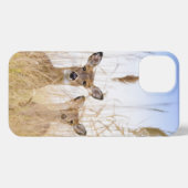 Niedliche Kleintiere | Zwei junge Weiße Schwänzer iPhone Hülle (Rückseite (Horizontal))