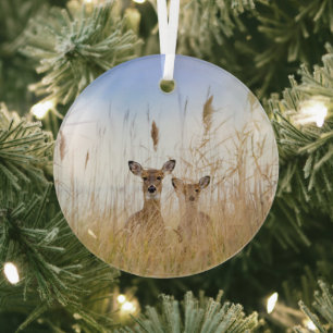 Niedliche Kleintiere Zwei junge Weiße Schwänzer Ornament Aus Glas