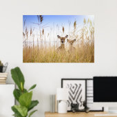 Niedliche Kleintiere | Zwei junge Weiße Schwänzer Poster (Heimbüro)