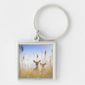 Niedliche Kleintiere | Zwei junge Weiße Schwänzer Schlüsselanhänger (Vorne)