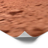 Niedliche Kleintiere | Zwei junge Zebras Poster (Ecke)